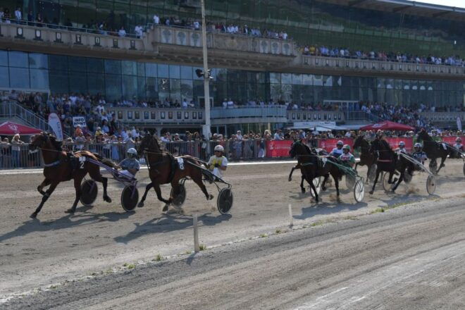 Krieau Historical Grandstand Tour Incl. Race Day - Explore the History of the Venue