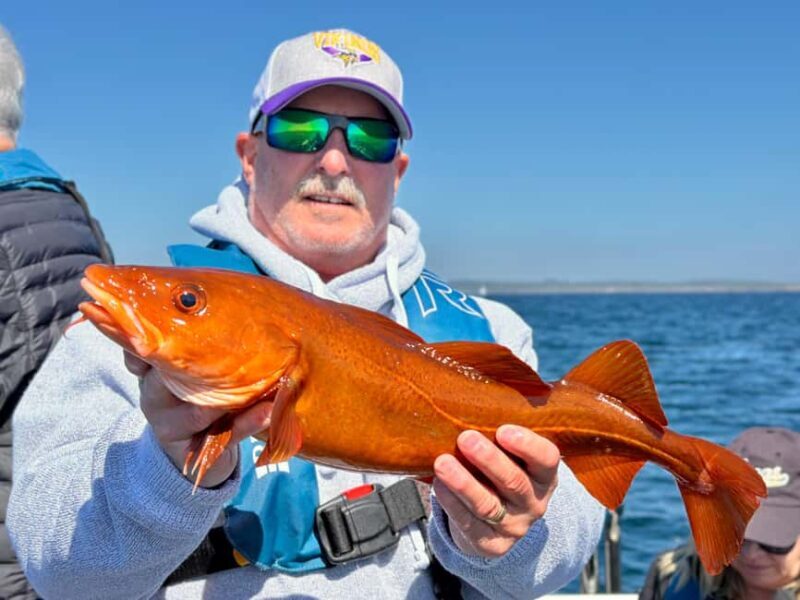 Kristiansand: Guided Sea Fishing Experience - Kristiansand: Guided Sea Fishing Experience