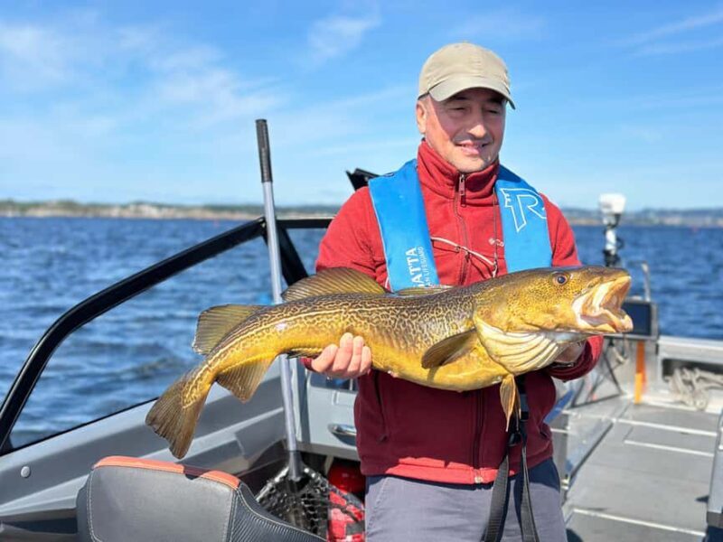 Kristiansand: Guided Sea Fishing Experience - The Sum Up