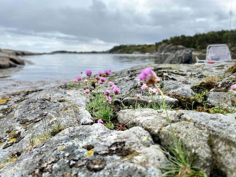 Kristiansand: Guided Sea Fishing Experience - FAQ