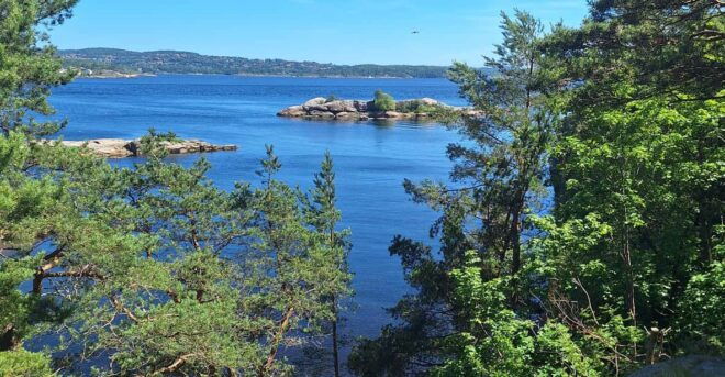 Kristiansand: Walking Tour on Ex-Military Island Odderøya - Booking Information