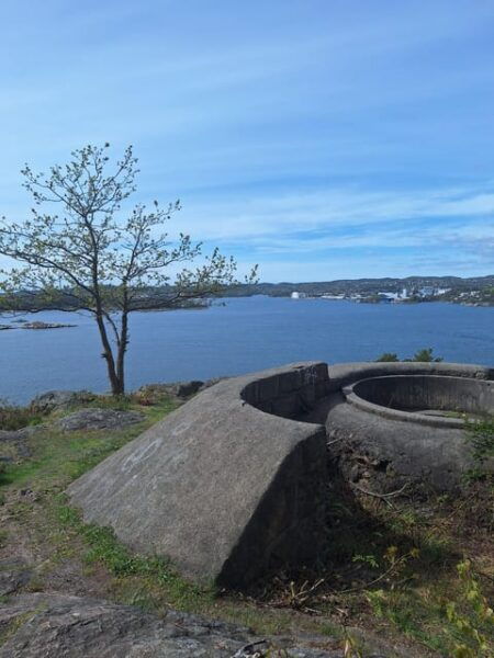 Kristiansand: Walking Tour on Ex-Military Island Odderøya - Important Notes