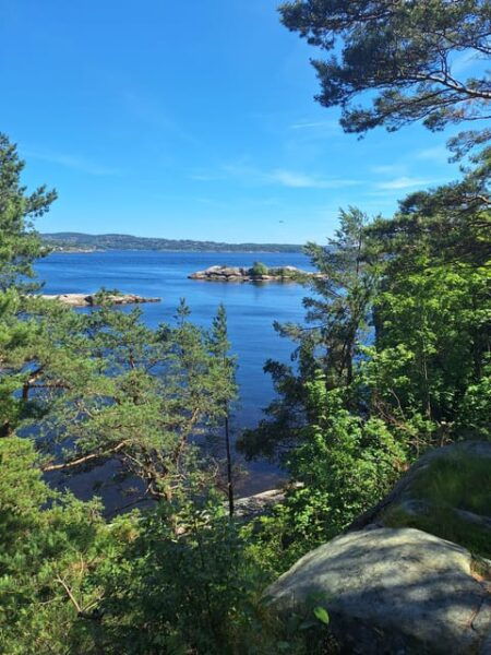 Kristiansand: Walking Tour on Ex-Military Island Odderøya - Duration and Price