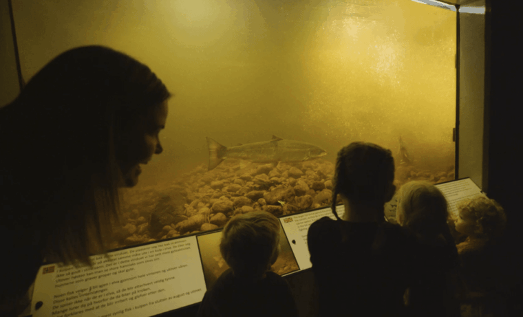 Kristiansand: Wild Salmon Center Guided Tour with Bus Ride - What’s Included & What to Consider