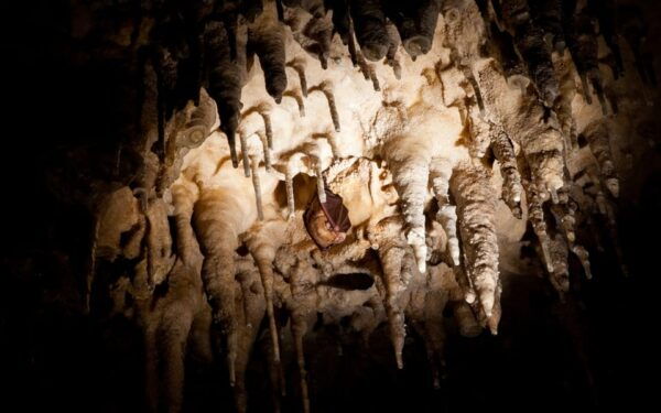 Krk: Biserujka Cave Entrance Ticket - Nearby Attractions