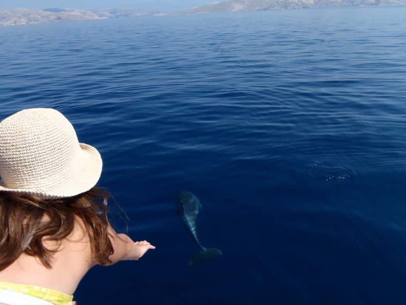 Krk: Boat Trip to Rab & Pag with Sightseeing & Swimming - Good To Know