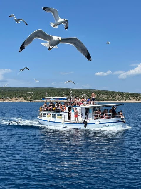 Krk: Golden Beach and Blue Cave 4 Islands With Welcome Drink - Important Items to Bring