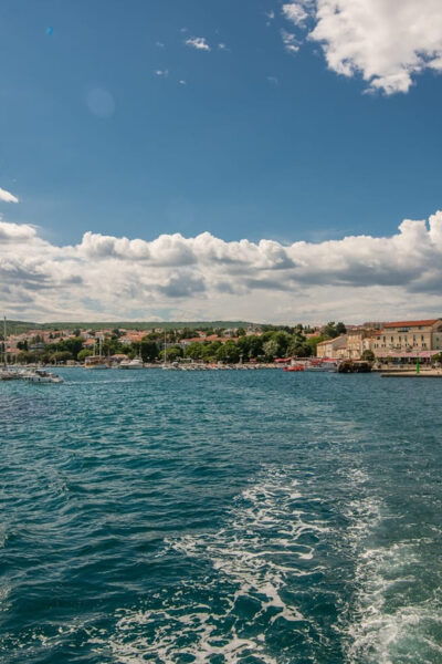 Krk: Golden Beach and Plavnik Cave Cruise With Welcome Drink - Wildlife Encounters