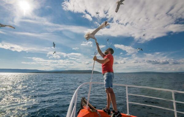 Krk: Golden Beach and Plavnik Cave Cruise With Welcome Drink - Tips for a Great Experience