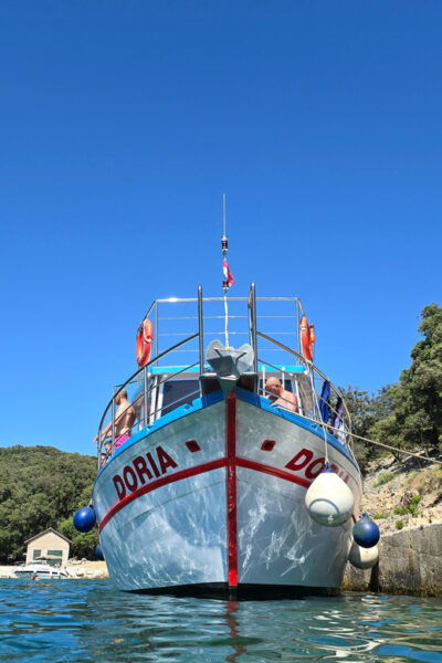 Krk: Krušija Bay, Blue Cave, and Golden Beach Boat Trip - Wildlife Encounters