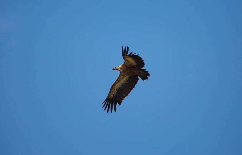 Krk : Sailing along the coasts of island Krk and Plavnik - An Authentic Look at the Itinerary