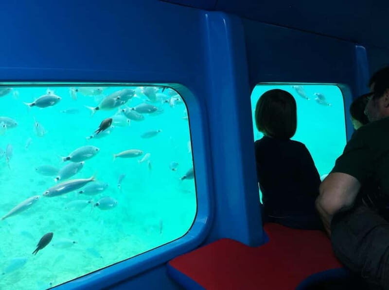 Krk: Underwater Semi-Submarine Adventure - Who Should Consider This Tour?