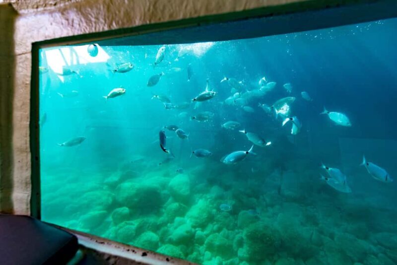 Krk: Yellow Semi-Submarine Tour - Good To Know