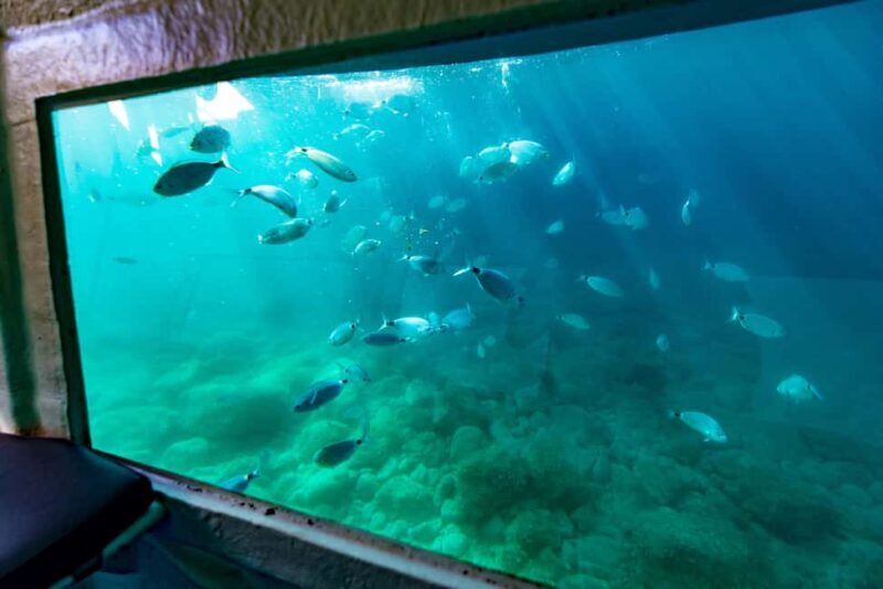 Krk: Yellow Semi-Submarine Tour - The Sum Up