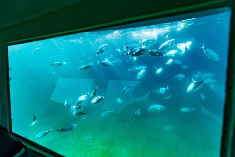 Krk: Yellow Semi-Submarine Tour - FAQ