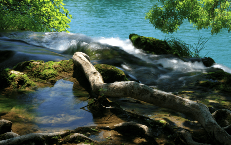 Krka National Park Private Full Day Tour From Dubrovnik - Good To Know