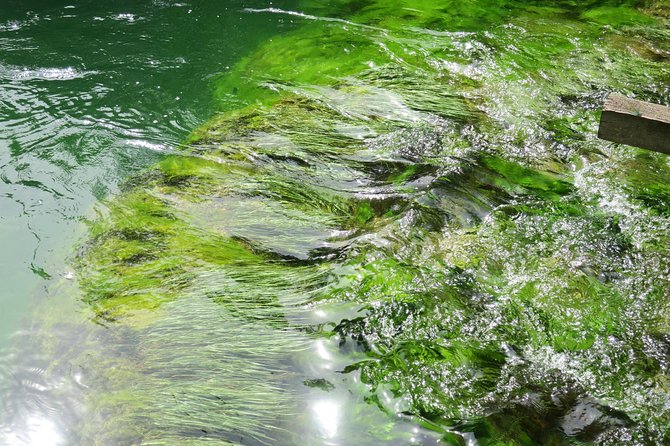 Krka Waterfalls Luxury Tour for Singles or Couples - Availability and Reservations