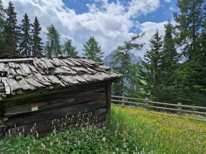 Kronplatz and 360° Panorama of the Alps and Dolomites - Important Preparation Tips