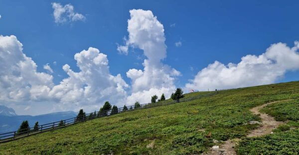 Kronplatz and 360° Panorama of the Alps and Dolomites - Seasonal Activities