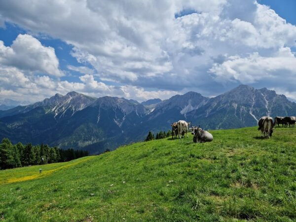 Kronplatz and 360° Panorama of the Alps and Dolomites - Booking and Cancellation Policy