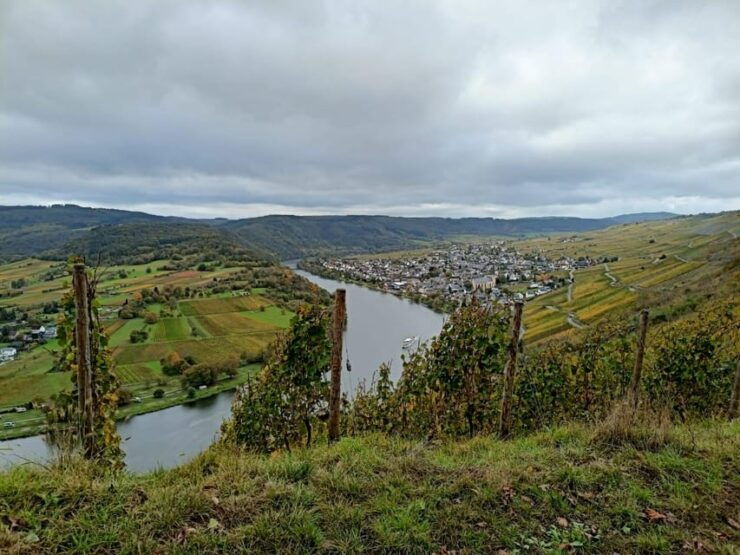 Kröv, Mosel: PLAN WAGON RIDE Through the Vineyards With Wine Tasting - Key Points