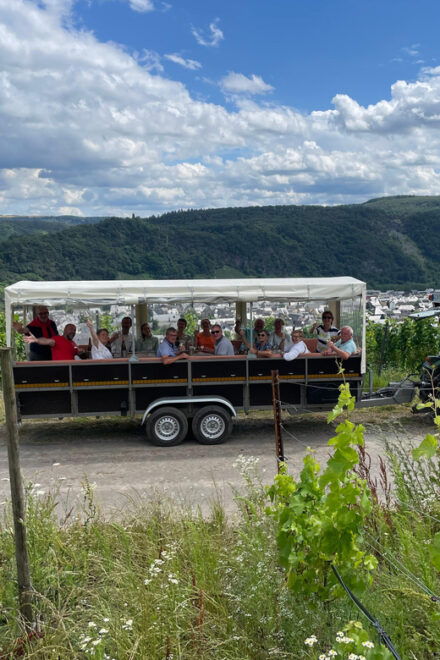 Kröv, Mosel: PLAN WAGON RIDE Through the Vineyards With Wine Tasting - What to Expect on the Tour