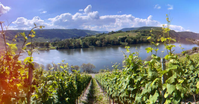 Kröv, Mosel: PLAN WAGON RIDE Through the Vineyards With Wine Tasting - The Scenic Moselle Landscape
