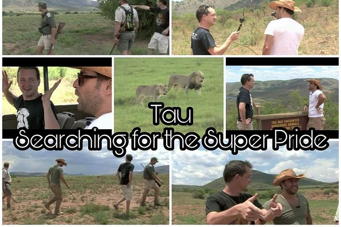 Kruger Lion Expedition With the Little Lionman Steve Kelly - Accommodation and Cancellation Policy