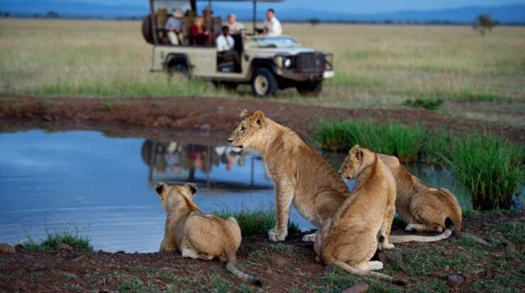 Kruger National Park 3 Day Tour From Johannesburg - Tour Details