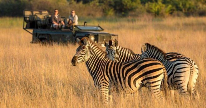 Kruger National Park 3 Day Tour From Johannesburg - Highlights