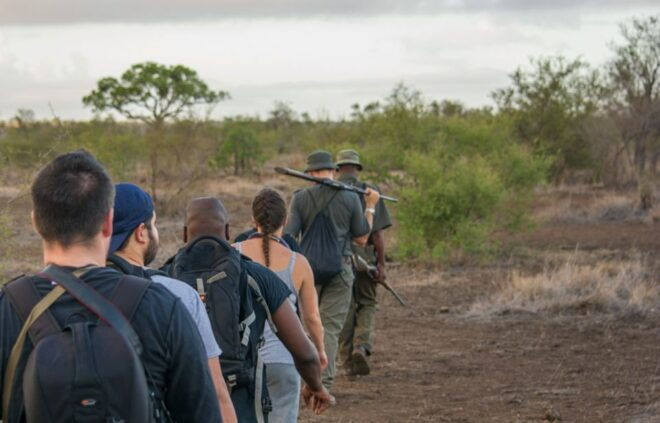 Kruger National Park: 3-Hour Walking Safari - Inclusions