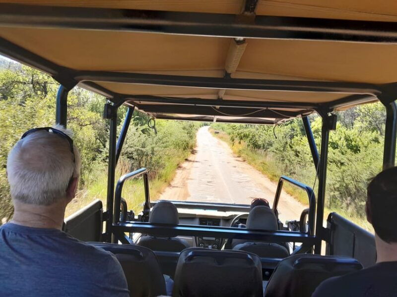 Kruger National Park: 4-Day Ultimate Safari Tour - Good To Know