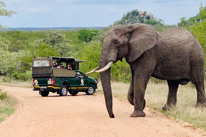 Kruger National Park Afternoon Private Safari - Overview and Booking Details