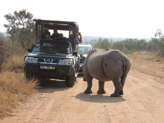 Kruger National Park: Full-Day Game Drive With Pickup - Cancellation Policy and Highlights