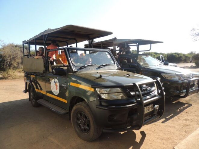Kruger National Park: Full-Day Game Drive With Pickup - Customer Reviews and Important Information
