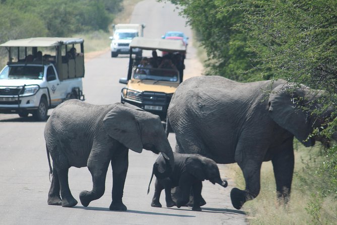 Kruger National Park Magical Day Safari From Johannesburg - Cancellation Policy