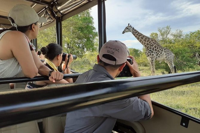 Kruger National Park Morning Safari 2 People Minimum - Booking Information and Tips