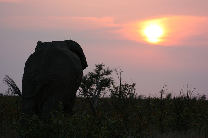 Kruger National Park Overnight Guided Safari Tour From Johannesburg - Tour Overview