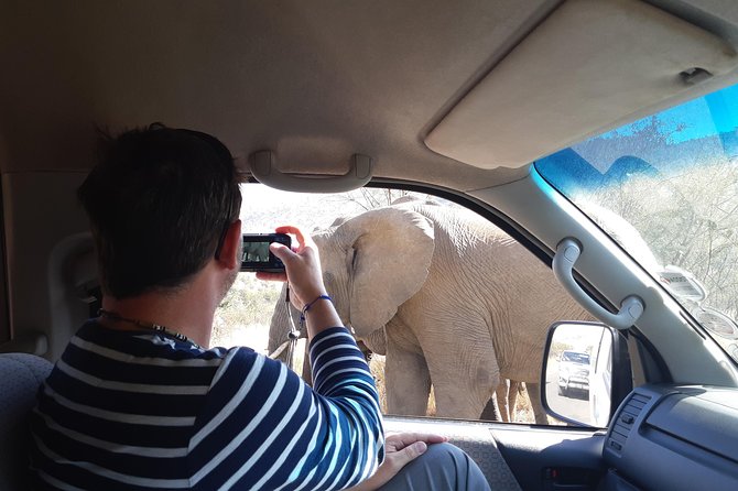 Kruger National Park Overnight Guided Safari Tour From Johannesburg - Scenic Drives on Panorama Route