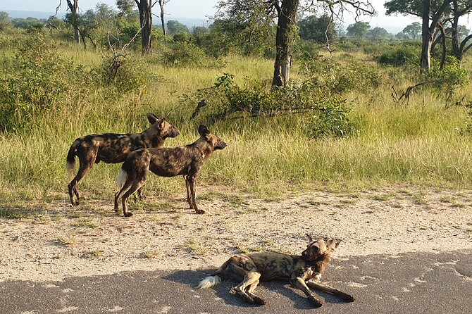 Kruger National Park & Panorama Route From Johannesburg 3 Days & 2 Nights - Day 3: Panorama Route Highlights