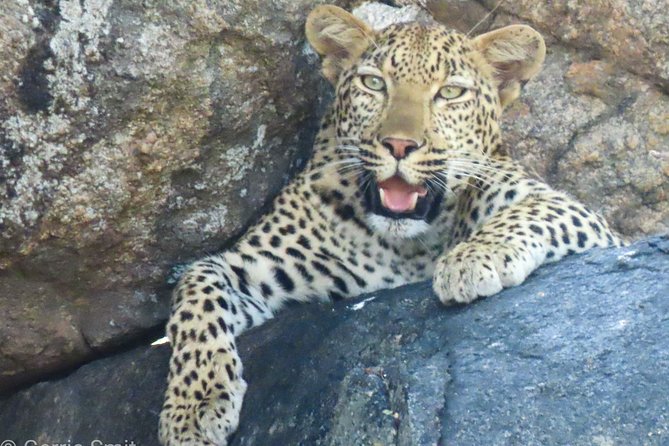 Kruger National Park - Private 3 Day, 2 Night Safari Trip. - Customer Reviews and Ratings