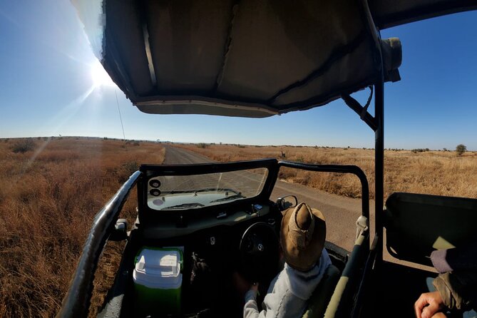 Kruger National Park Private Guided Tour - What to Expect on the Tour