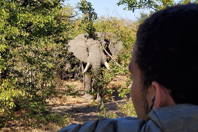 Kruger National Park Private Guided Tour - Customer Reviews and Testimonials