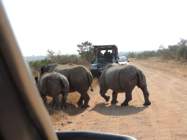 Kruger National Park: Wildlife-Watching Safari - Additional Information