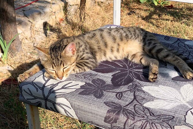 Kruja - Attractions and Bazar, Private Tour From Tirana - Booking Information