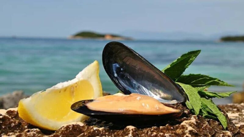 Ksamil Sailing & Mussel Tasting Experience - Exploring the Itinerary: What You Can Expect
