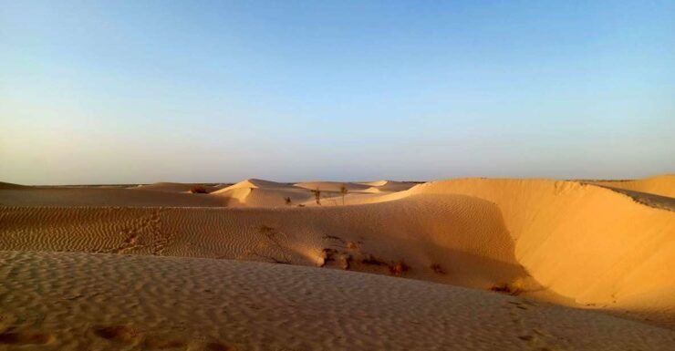 Ksar Ghilan (Oasis) One Day Tour : Starting From Djerba - Activities and Experiences