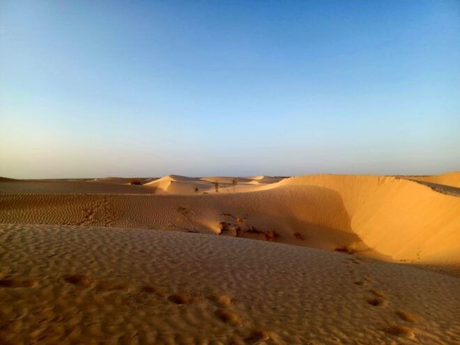 Ksar Ghilan (Oasis) One Day Tour : Starting From Djerba - Sahara Experience