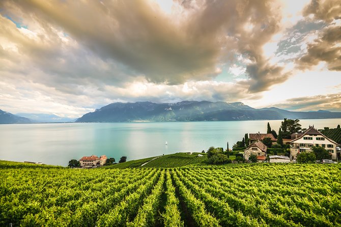 (KTG301) - Trip to Montreux, Chaplins World & Chillon Castle - Tour Overview