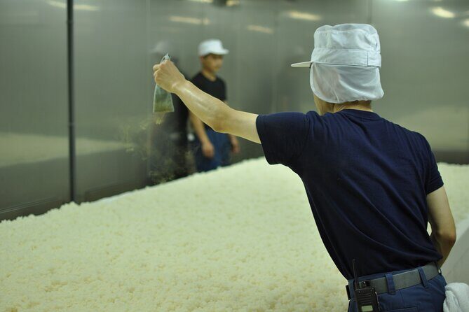 KTIC Friends Japanese Sake Brewery Viewing and Tasting in Kyoto - Exploring Kyoto’s Sake Scene: What to Expect